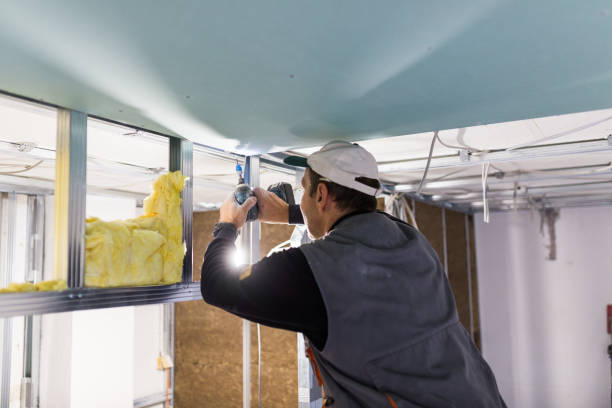 Best Soundproof Insulation Installation  in Buffalo, MN