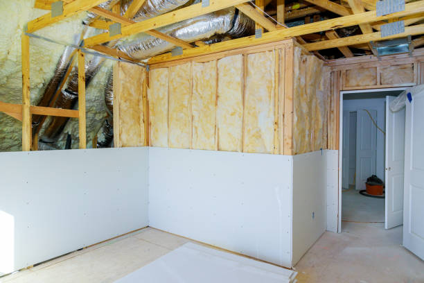 Best Best Insulation Companies  in Buffalo, MN