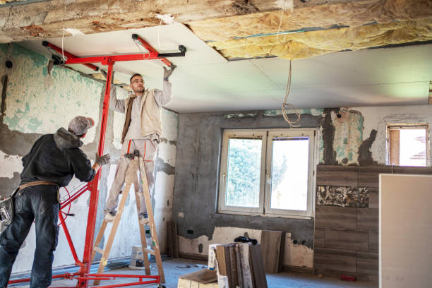 Insulation Replacement Services in Buffalo, MN
