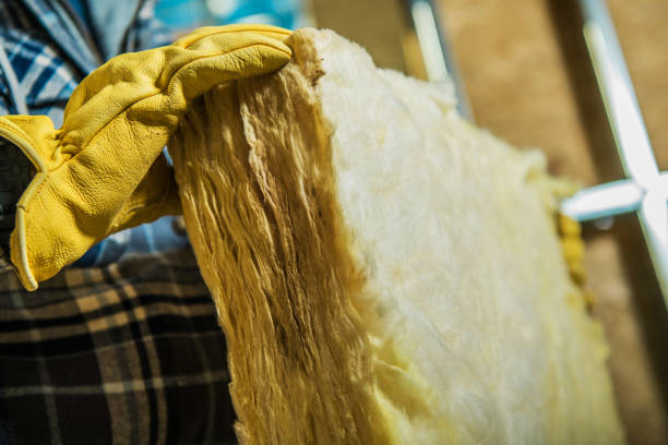 Best Spray Foam Insulation  in Buffalo, MN