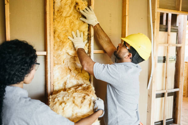 Best Spray Foam Insulation  in Buffalo, MN