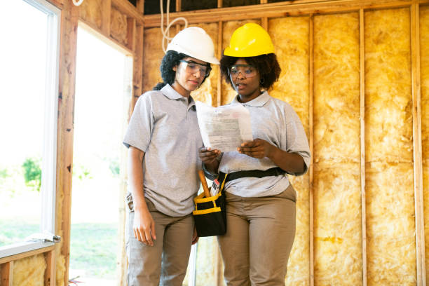 Best Professional Insulation Contractor  in Buffalo, MN