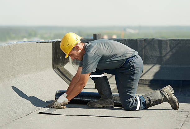 Best Insulation for New Construction  in Buffalo, MN