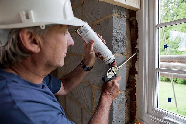 Best Insulation Repair Services  in Buffalo, MN