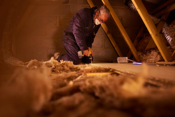 Best Residential Insulation Services  in Buffalo, MN